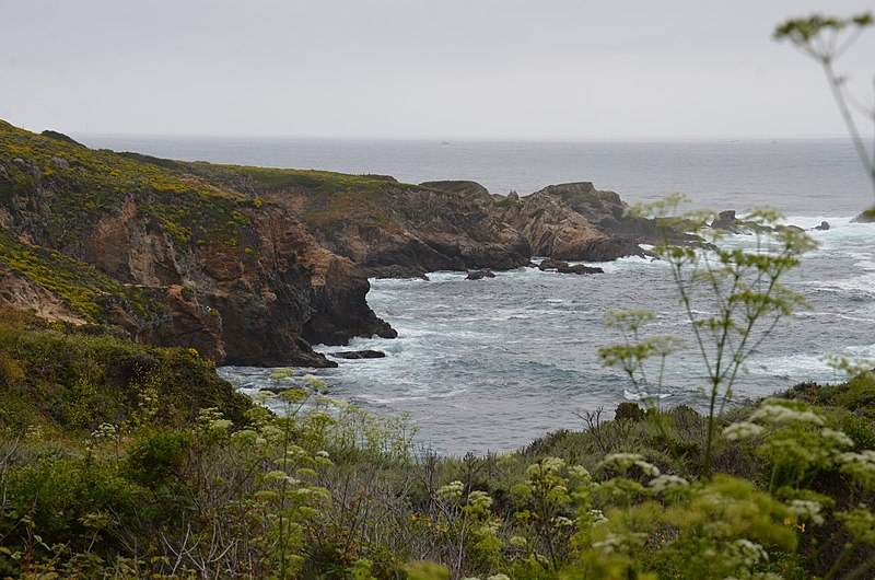800px-Garrapata_State_Park_Soberanes_Point_2019
