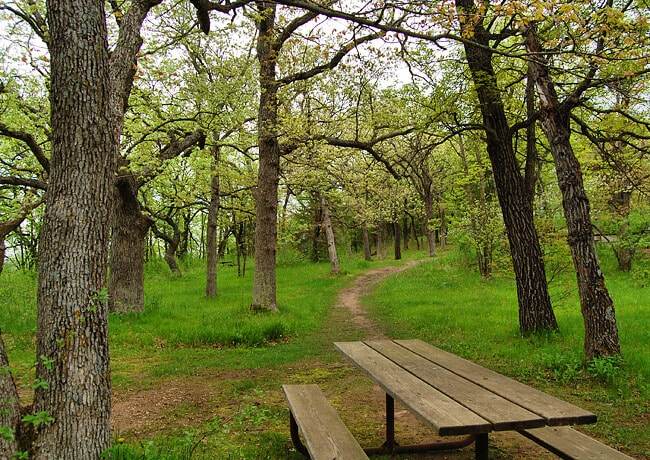 Afton State Park Picnic at Carvers Creek State Park