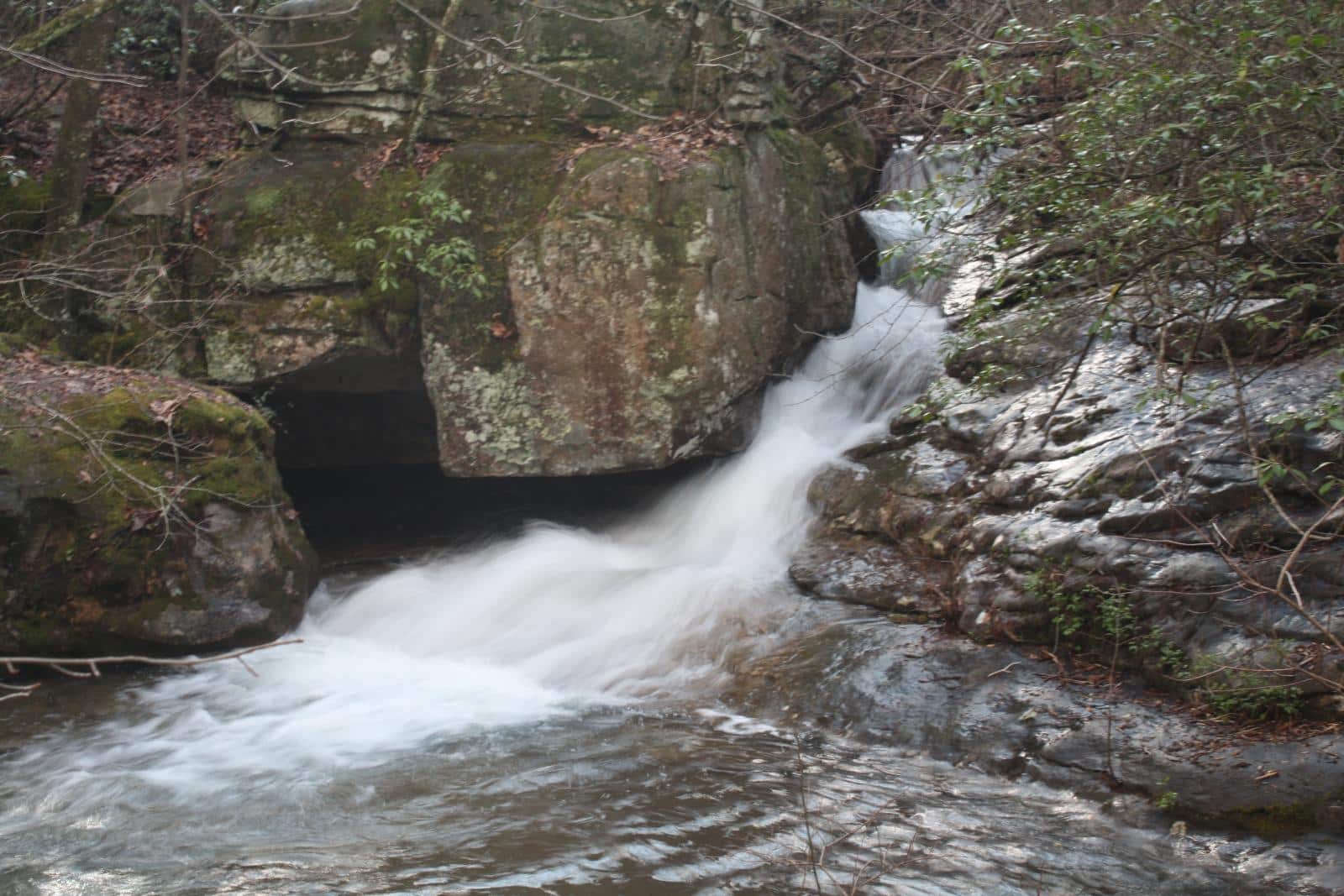 Azalea Cascade at DeSoto State Park