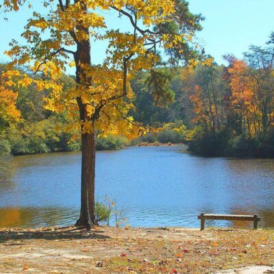 Bear Creek State Park