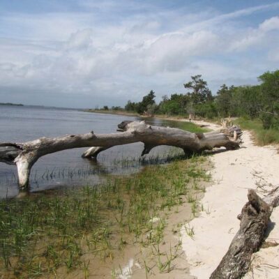 Carolina Beach State Park