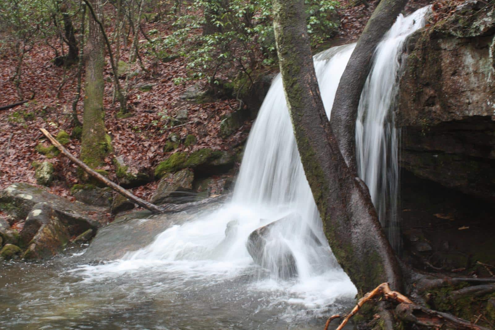 Laurel Falls at DeSoto State Park