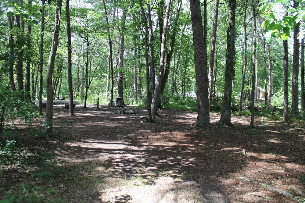 Primitive Campsites at DeSoto State Park