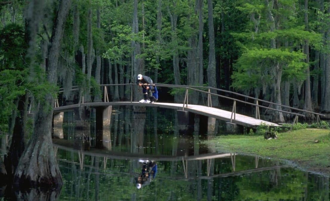 Sam Houston Jones State Park 20 Sam Houston Jones State Park