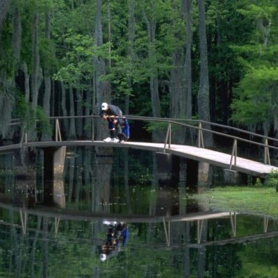 Sam Houston Jones State Park