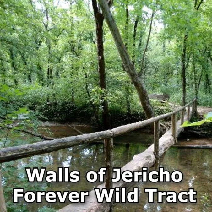 State Park featuring the forever wild Walls of Jericho tract.