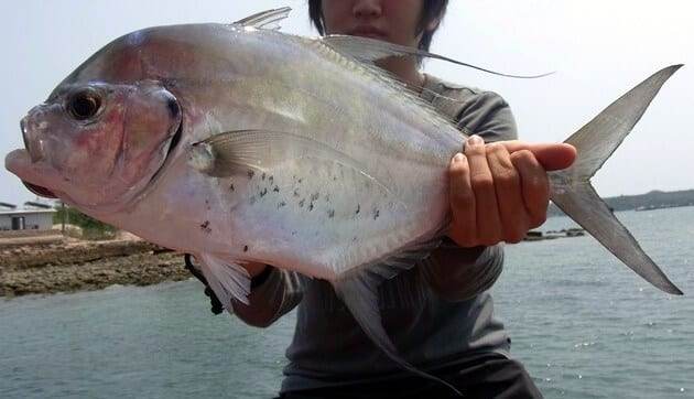 Big Fish Caught at Bear River State Park