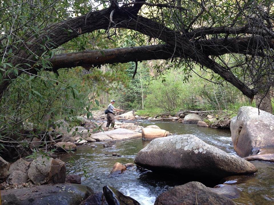 Flyfishing at DeSoto State Park