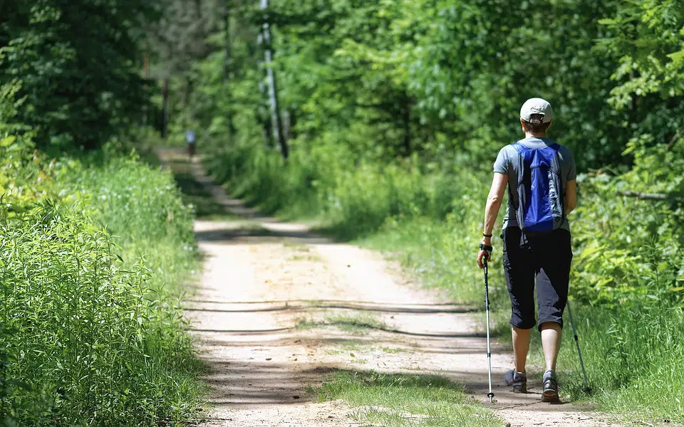 Hiking Sticks at Bear River State Park
