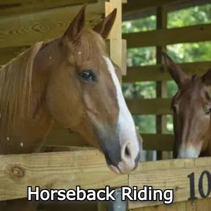 horseback riding A.H. Stephens State Park
