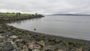 Albany State Marine Reserve