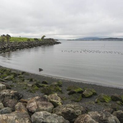 Albany State Marine Reserve