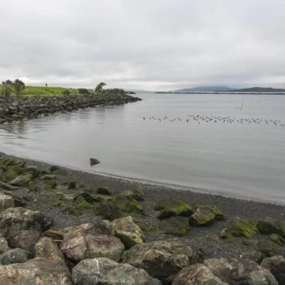 Albany State Marine Reserve