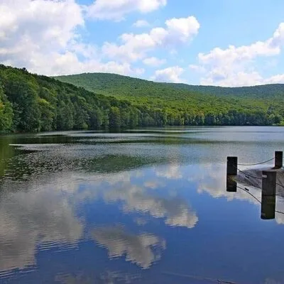 Allegany State Park
