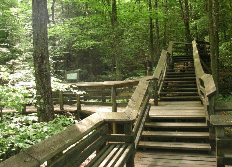 Beartown Trail1 at Beartown State Park