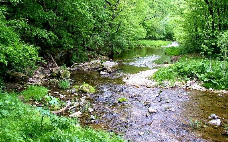 Beaver Creek Valley State Park Minnesota