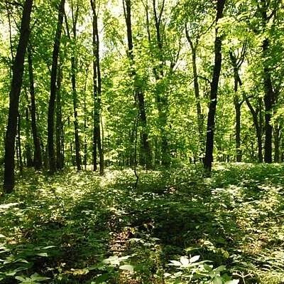 Governor Dodge State Park