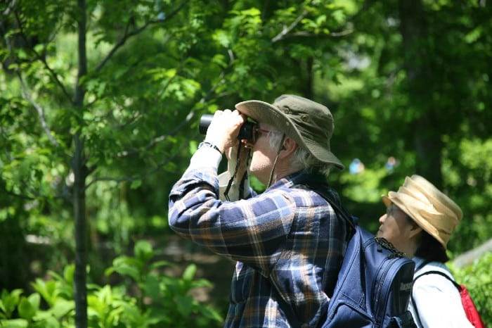 Birdwatching Bbone at Big Bone Lick State Historic Site