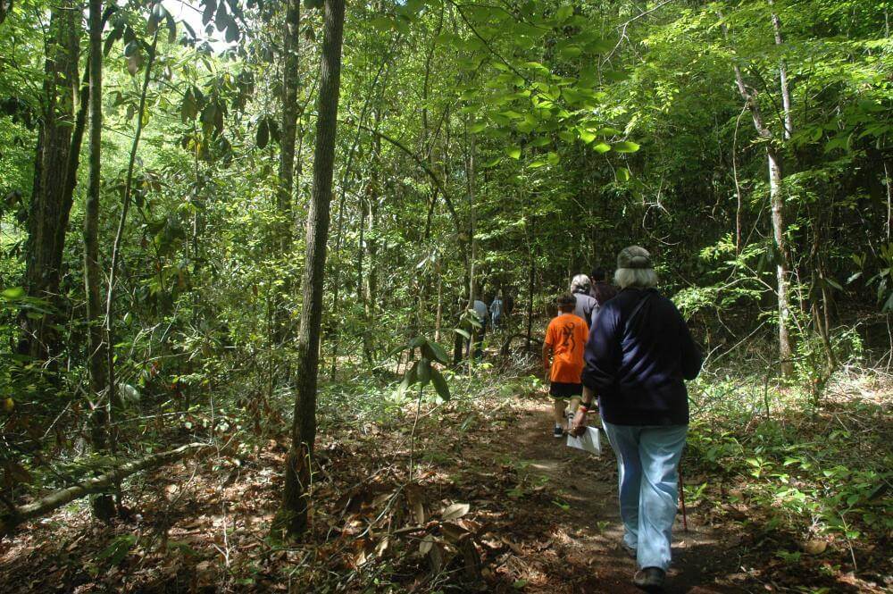 Blue Springs State Park Hiking at Blue Springs State Park Alabama