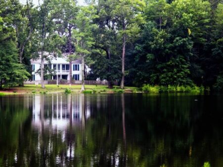 Carvers Creek State Park