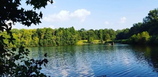 Andrew Jackson State Park