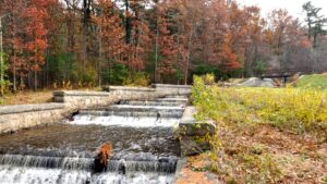 Abigail Adams State Park