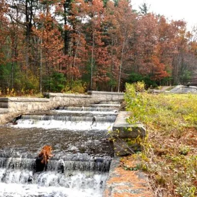 Abigail Adams State Park