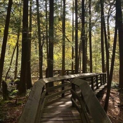 Stonewall Jackson Lake State Park