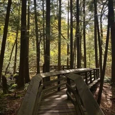 Beartown State Park