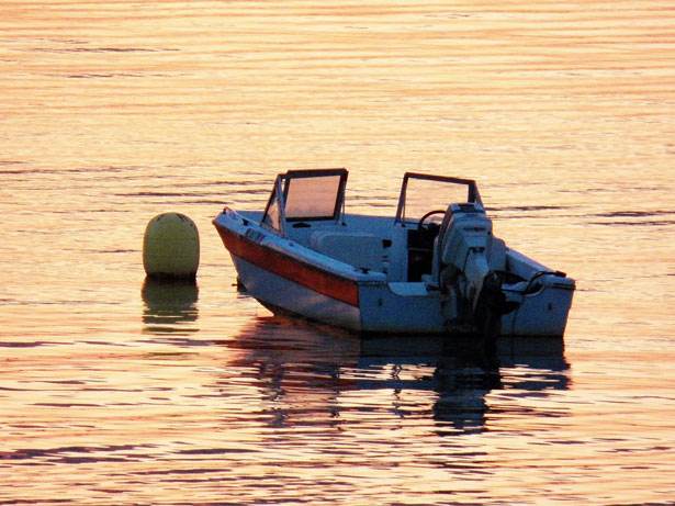 Boating Bear at Bear Creek State Park