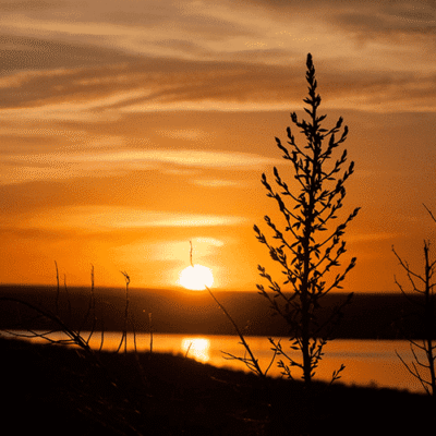 Ute Lake State Park