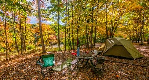 Camping Woods87 at Allegany State Park