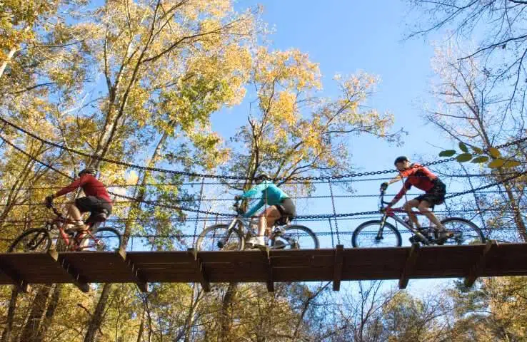 cane creek state park arkansas