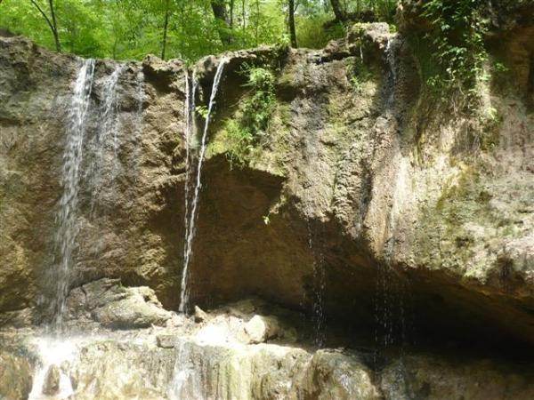 Clark Creek Natural Area