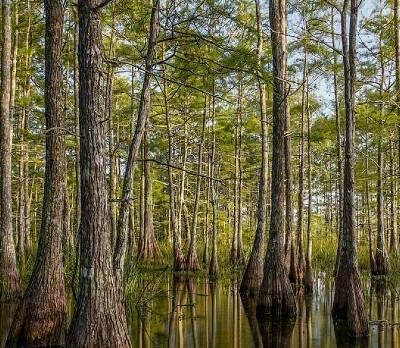 Red Clay State Historic Park