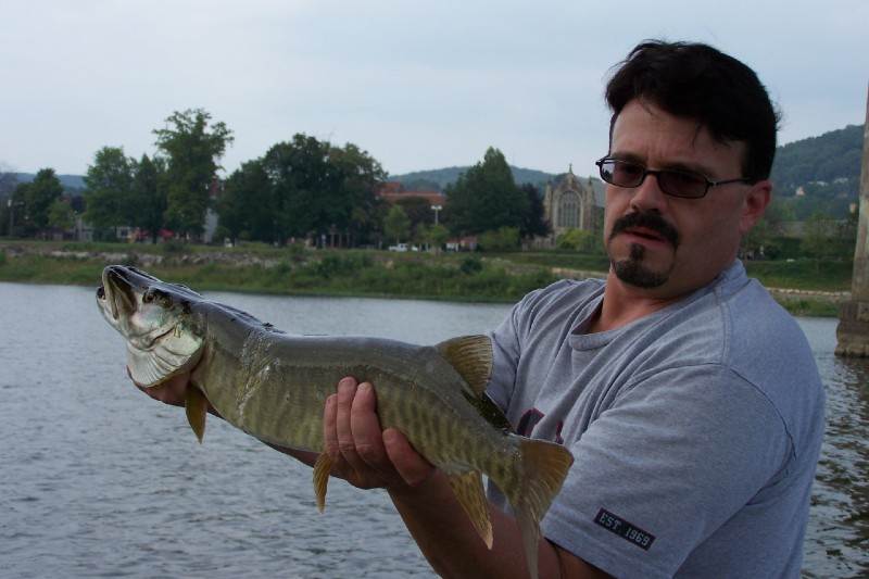 Fish Caught Algo1 at Algonac State Park