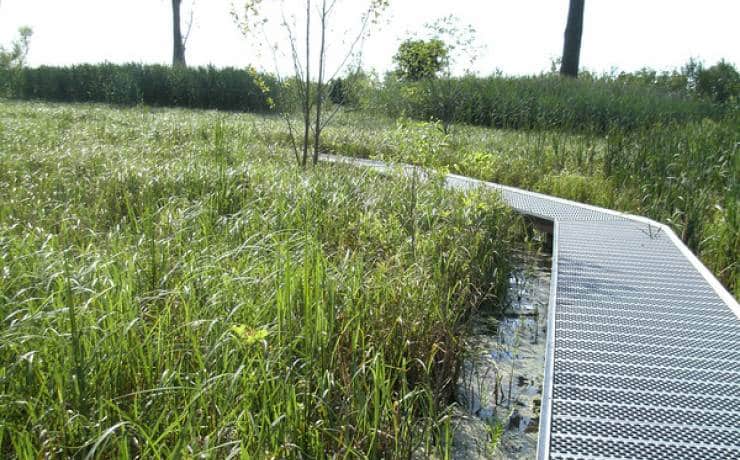 Annie and Abel Van Meter State Park 1 Hiking Annie at Annie and Abel Van Meter State Park