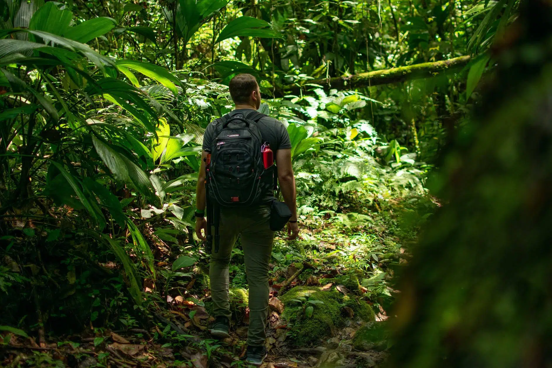 Hiking Pot at Ahupuaʻa ʻO Kahana State Park