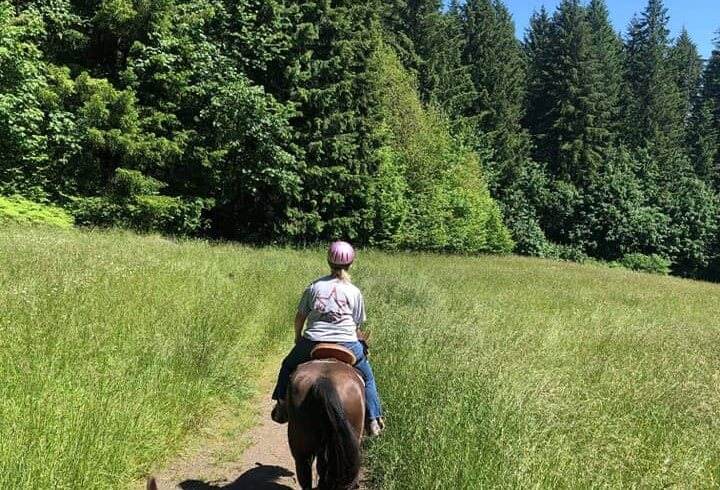 Horseback Battle1 at Clinton State Park