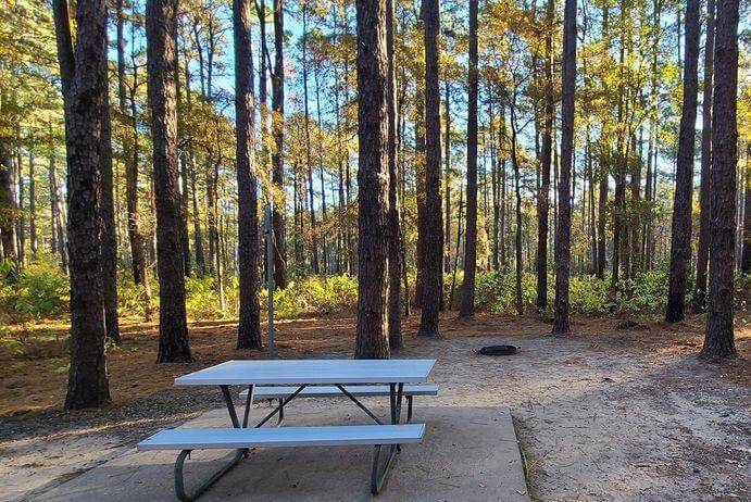 Picnic Atlanta1 at Atlanta State Park