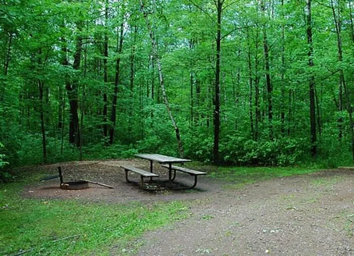 Picnic Banning1 at Banning State Park
