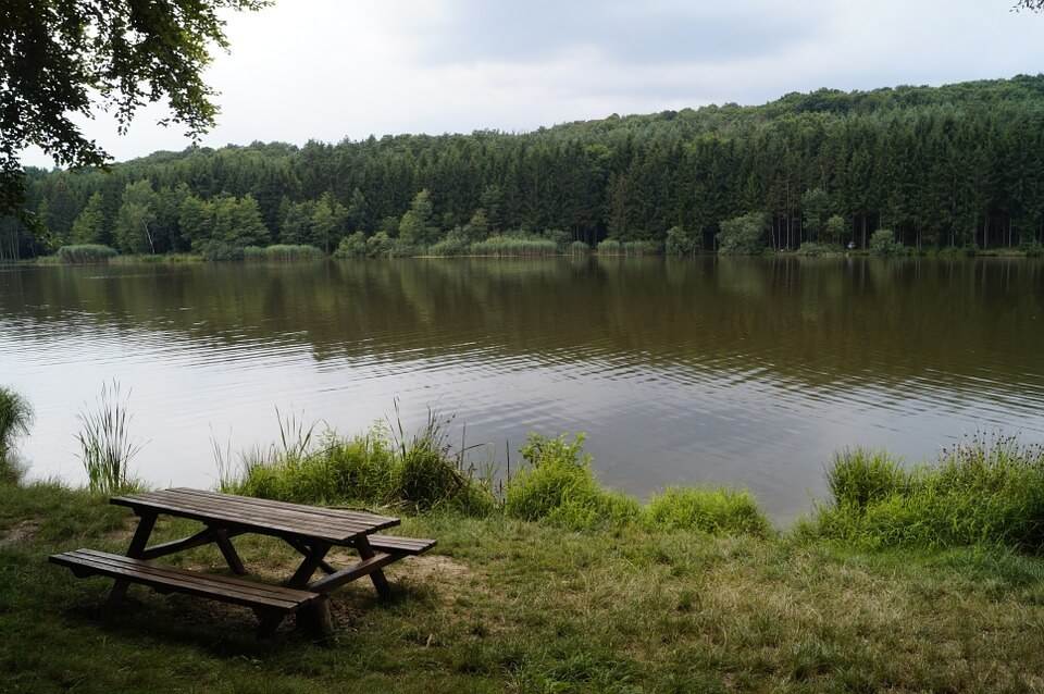 Picnic Lake at Allan H. Treman State Marine Park