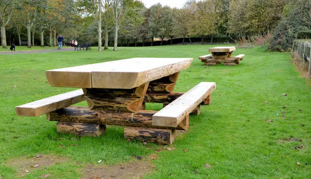 Picninc Table Grass at Big Bone Lick State Historic Site