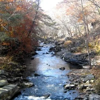 Potomac State Forest