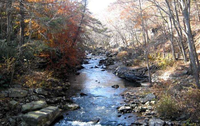 Big Run State Park - savage river forest