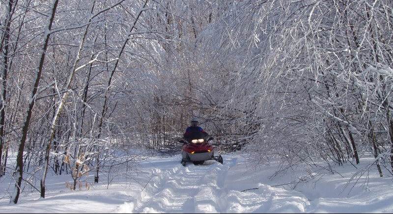 Snowmobile Allegany1 at Allegany State Park