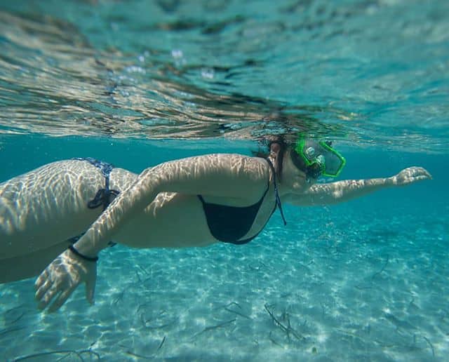 Swimming Bear at Atlanta State Park