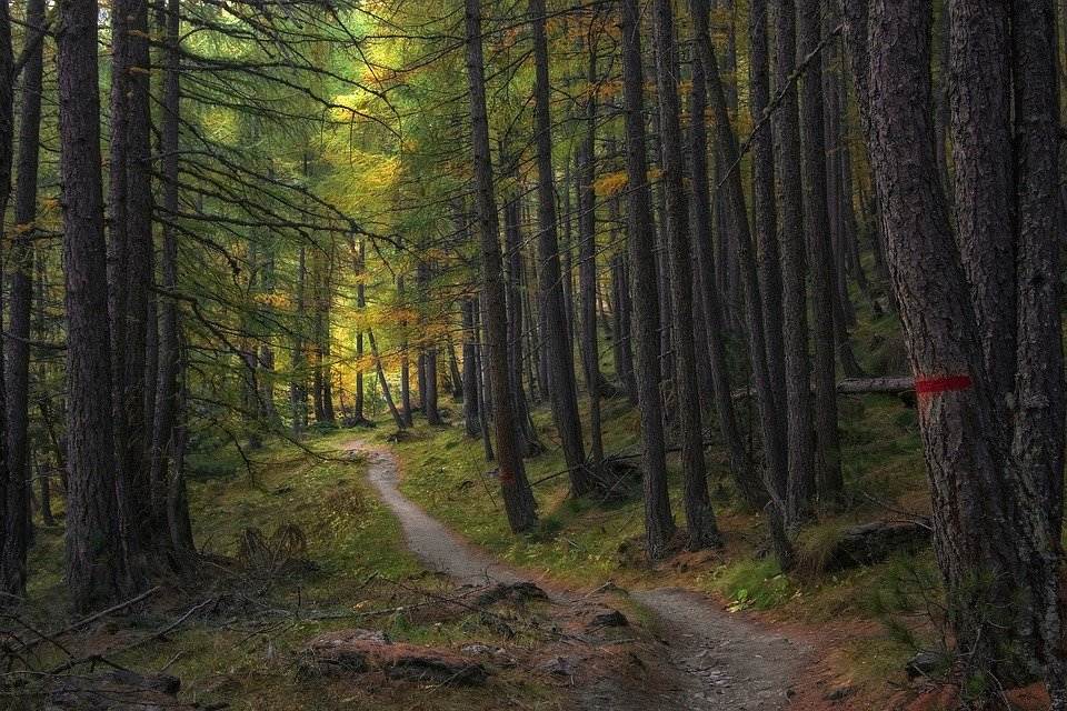 Trail Ains at Ainsworth State Park