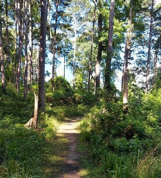 Trail Atlanta1 at Atlanta State Park