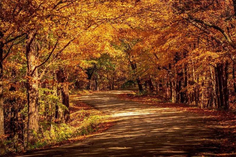 Backbone State Park 1 Trail Back1 at Backbone State Park